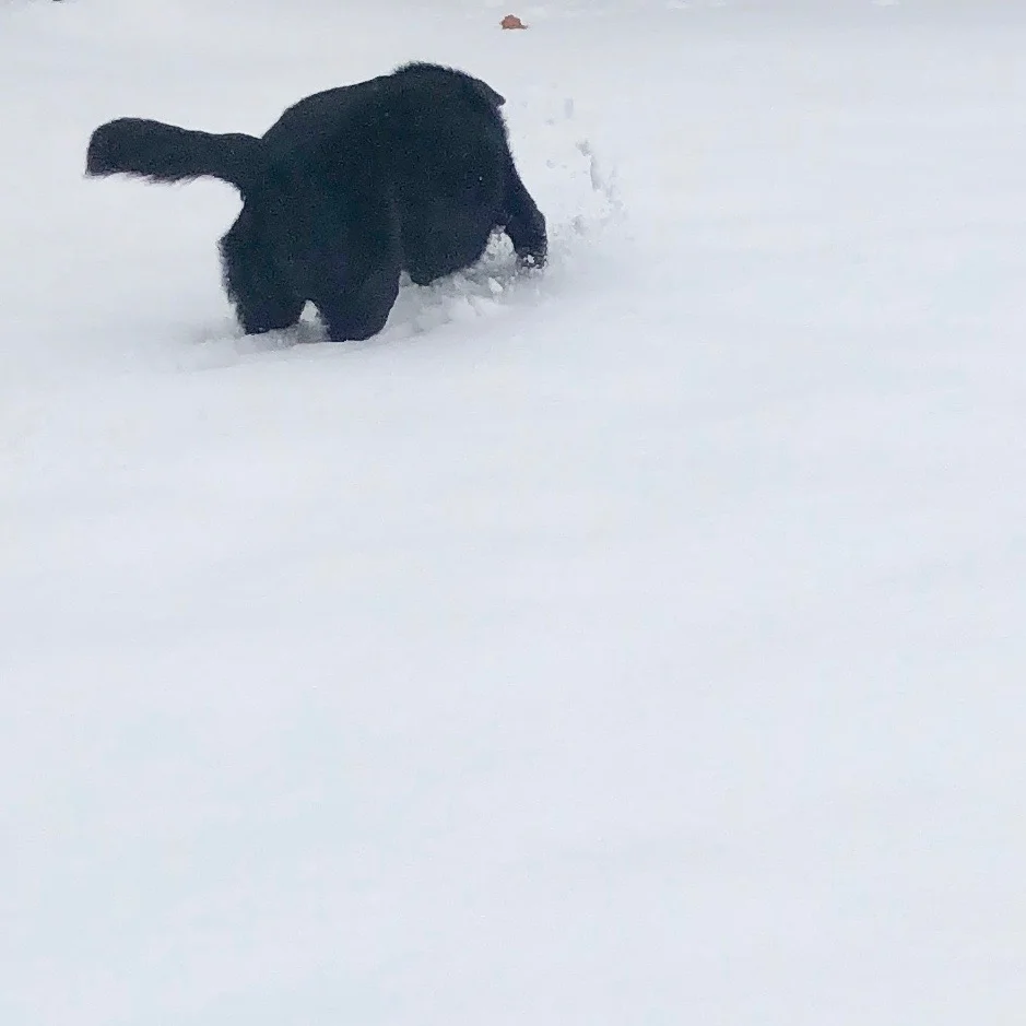 cady snow 4.jpeg