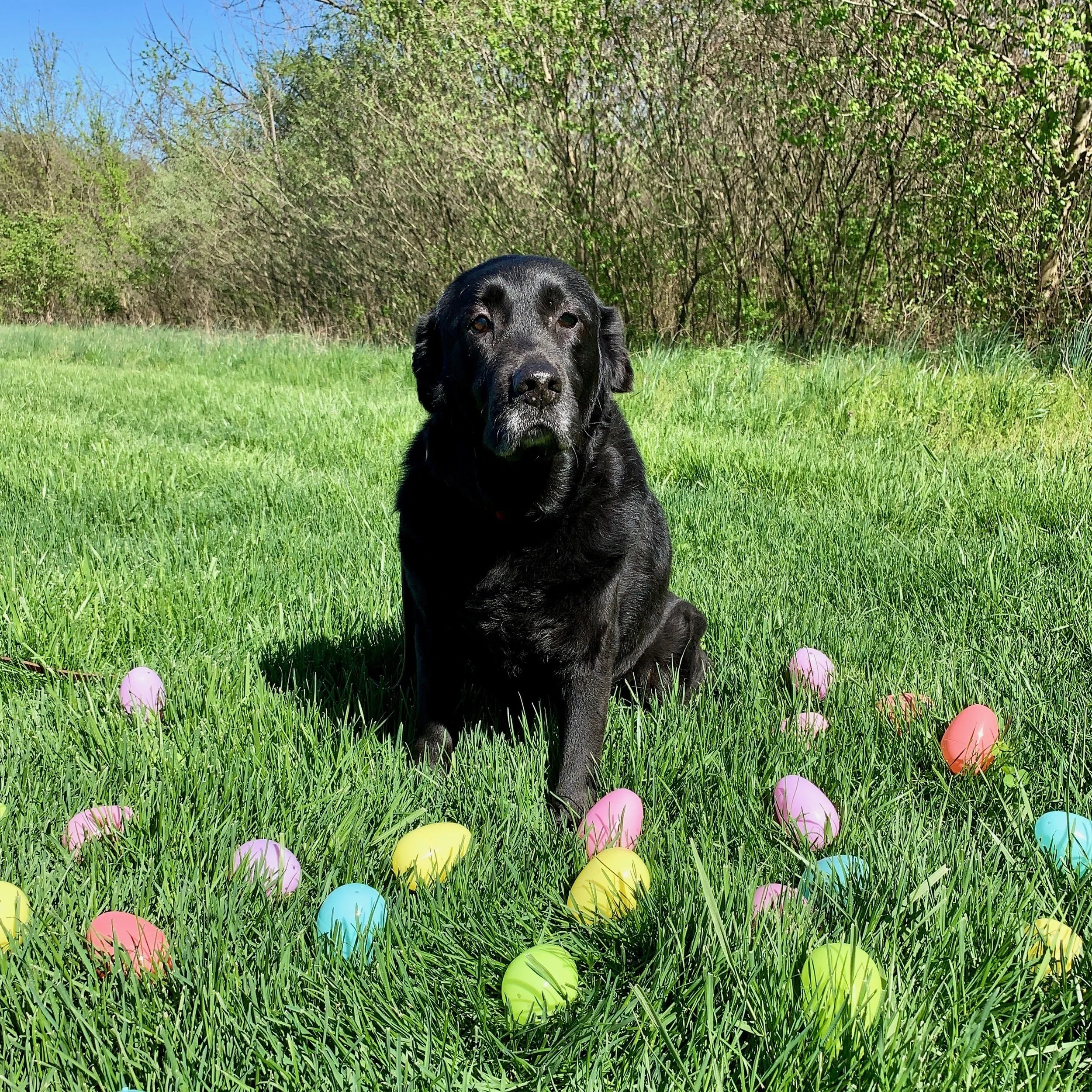Cady easter 2019 IMG_4331.jpeg