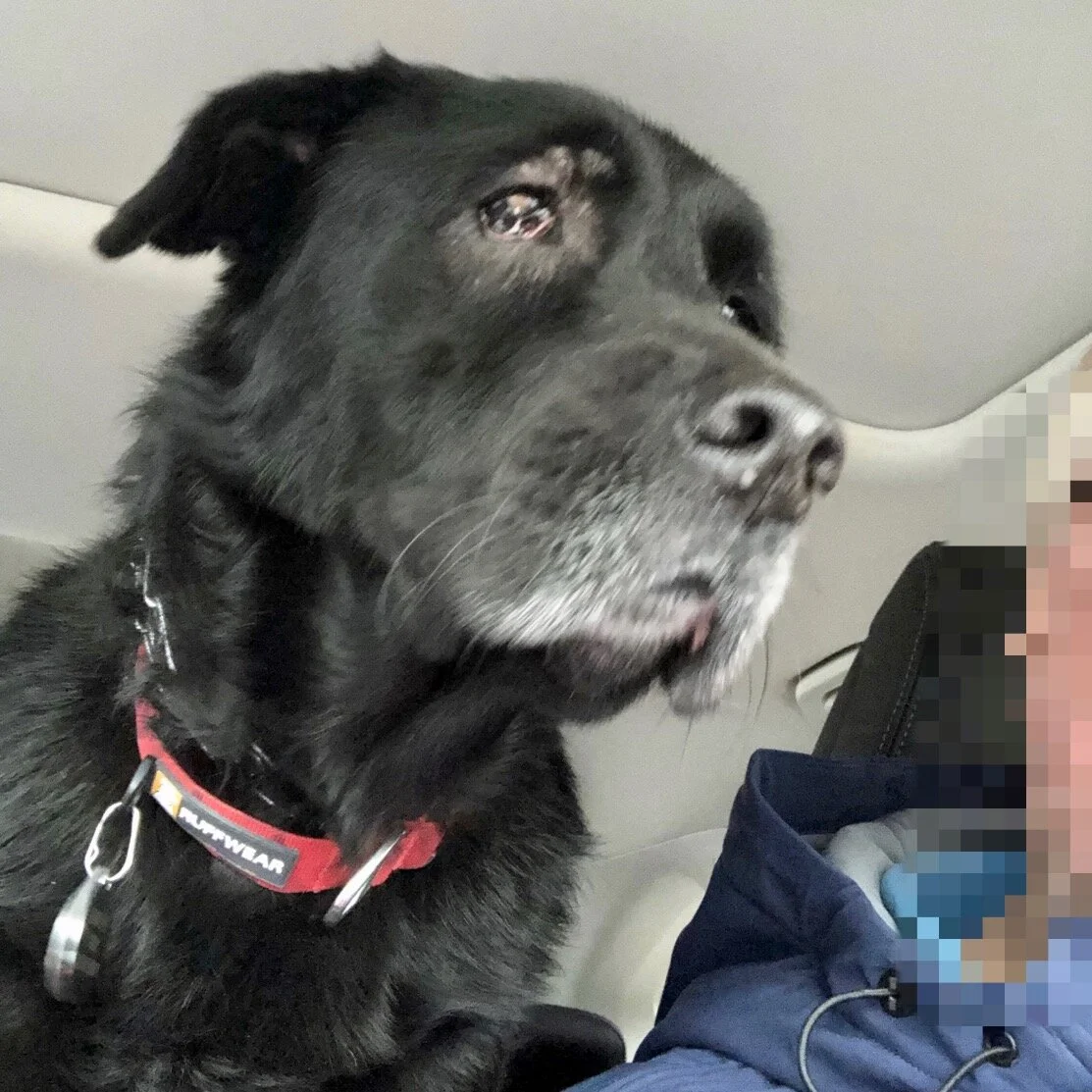 Cady IMG_2254 edit.JPG