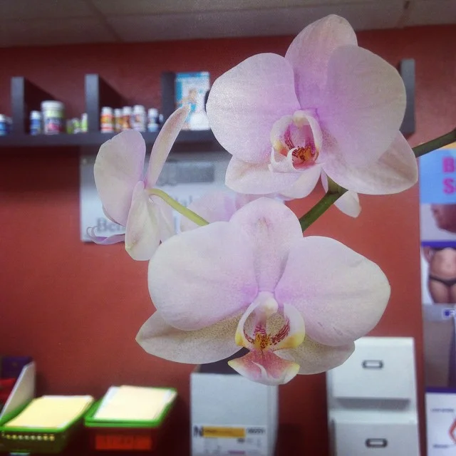 Be Healthy, Be Beautiful :)