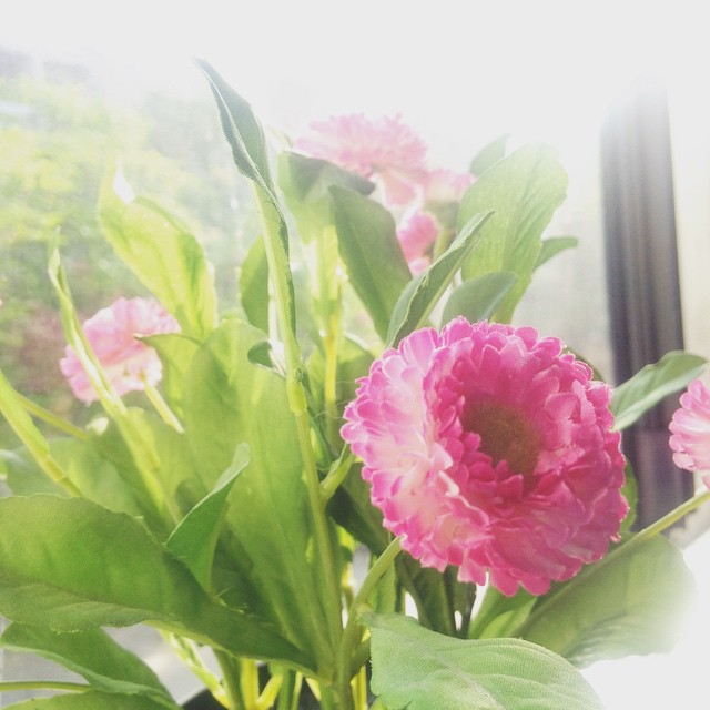 wishing all our friends a happy fathers day!