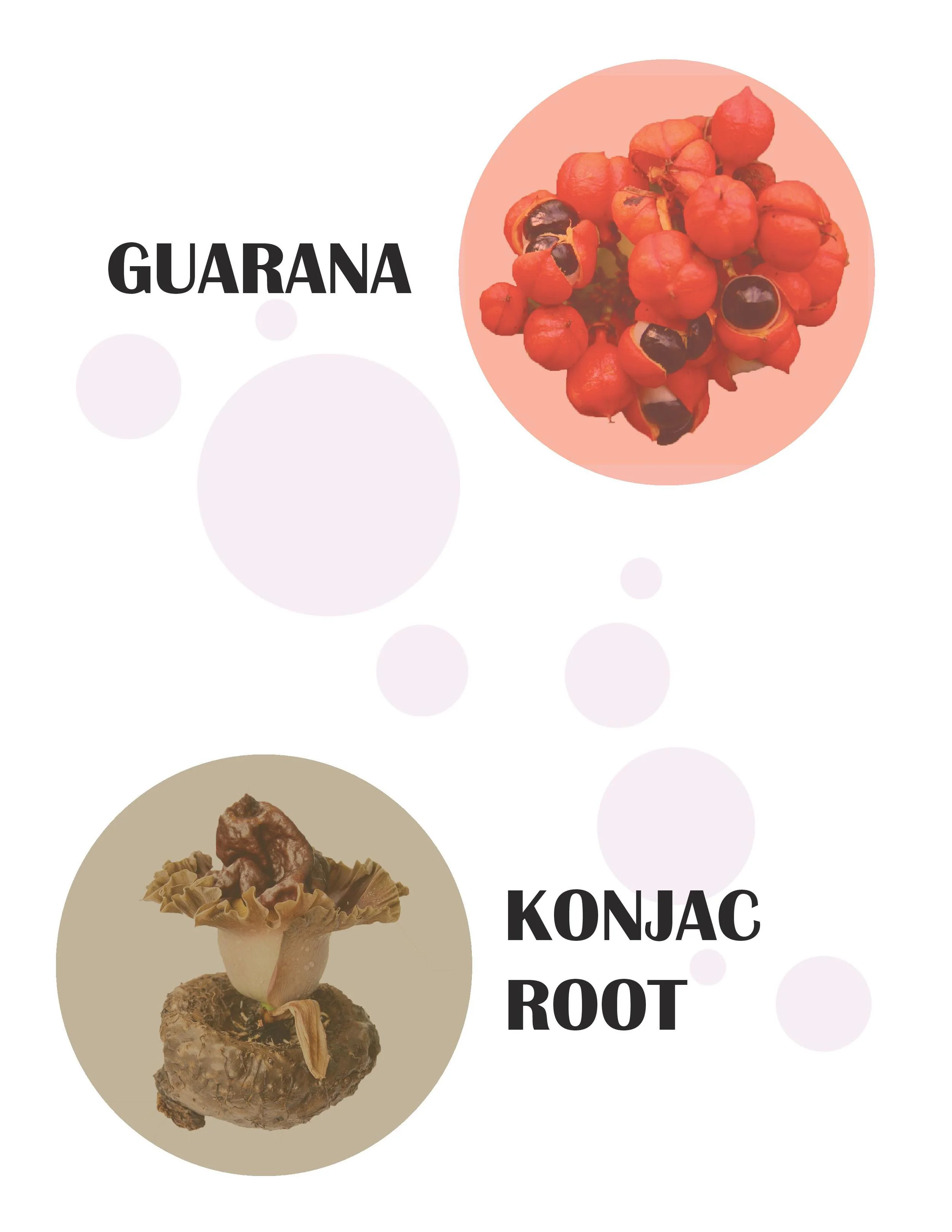 Untitled-2 (1)-page-017.jpg