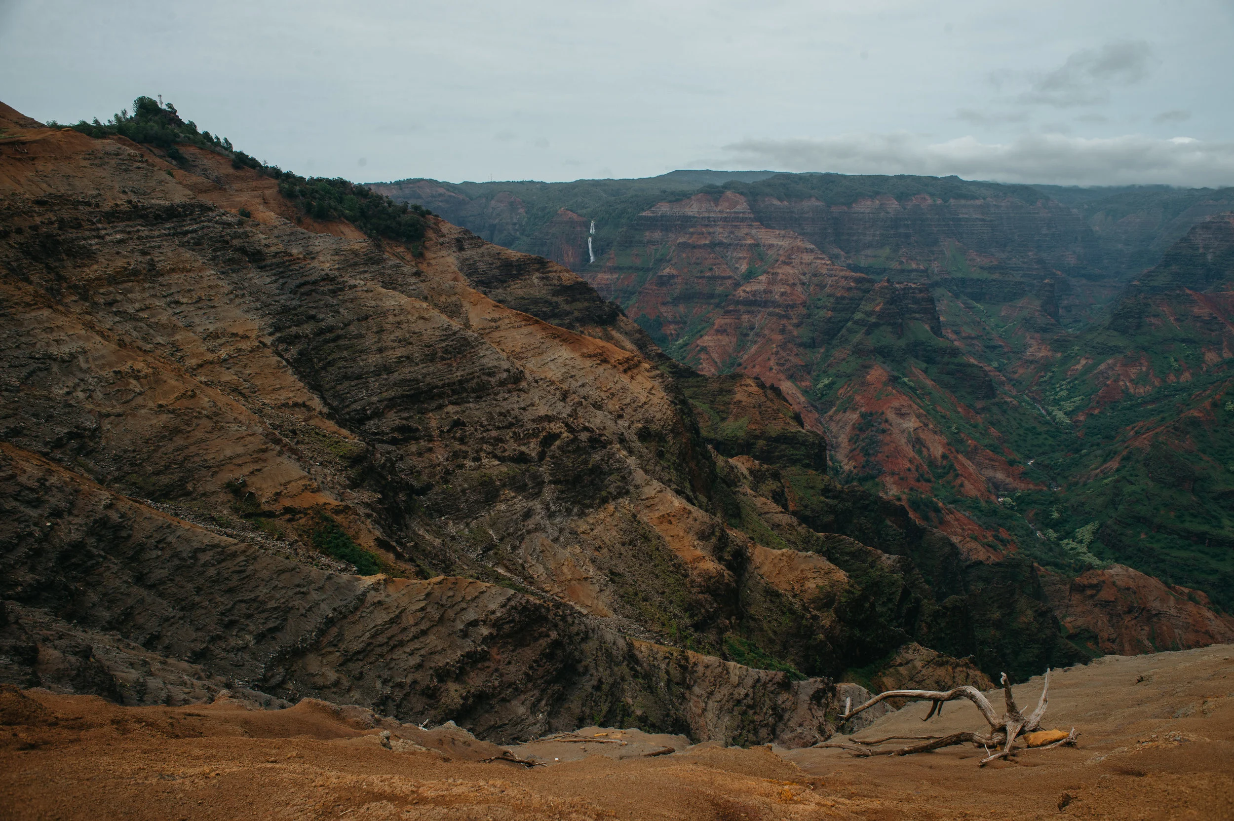 kauaitrip2018-4.jpg