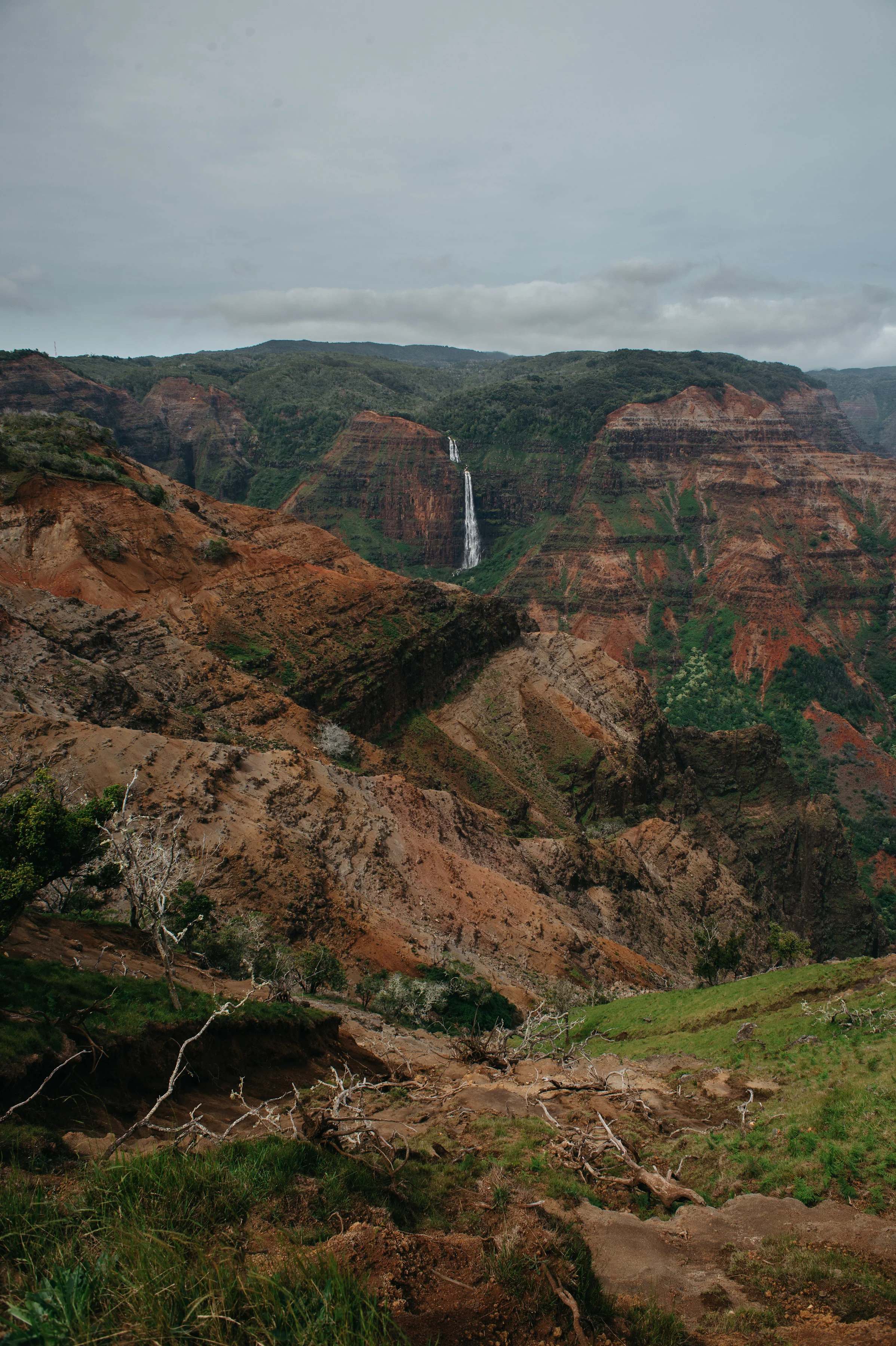 kauaitrip2018-8.jpg