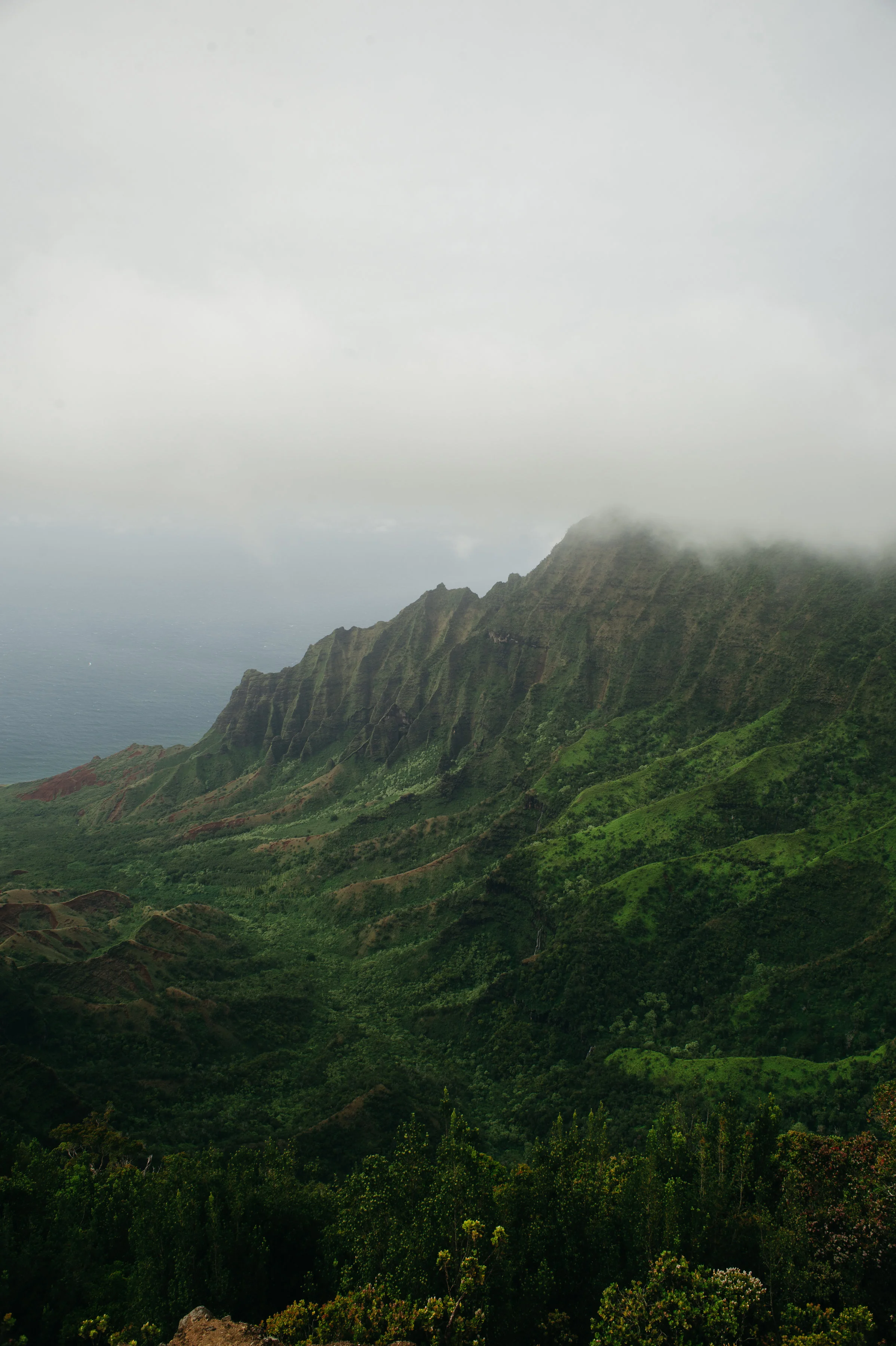 kauaitrip2018-27.jpg