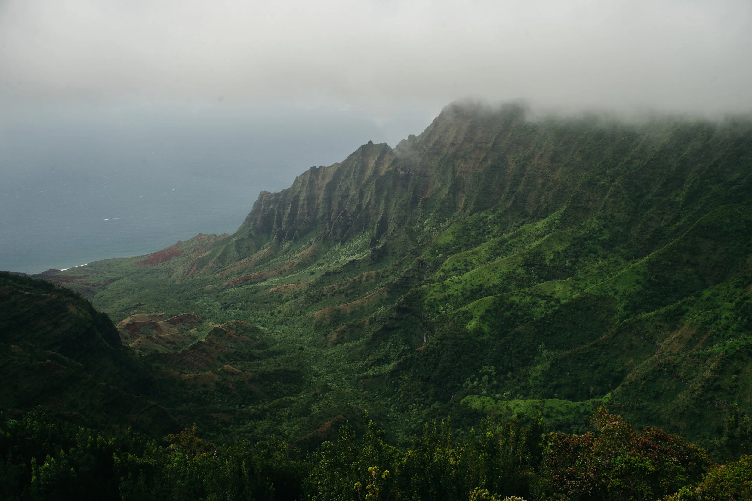 kauaitrip2018-26.jpg