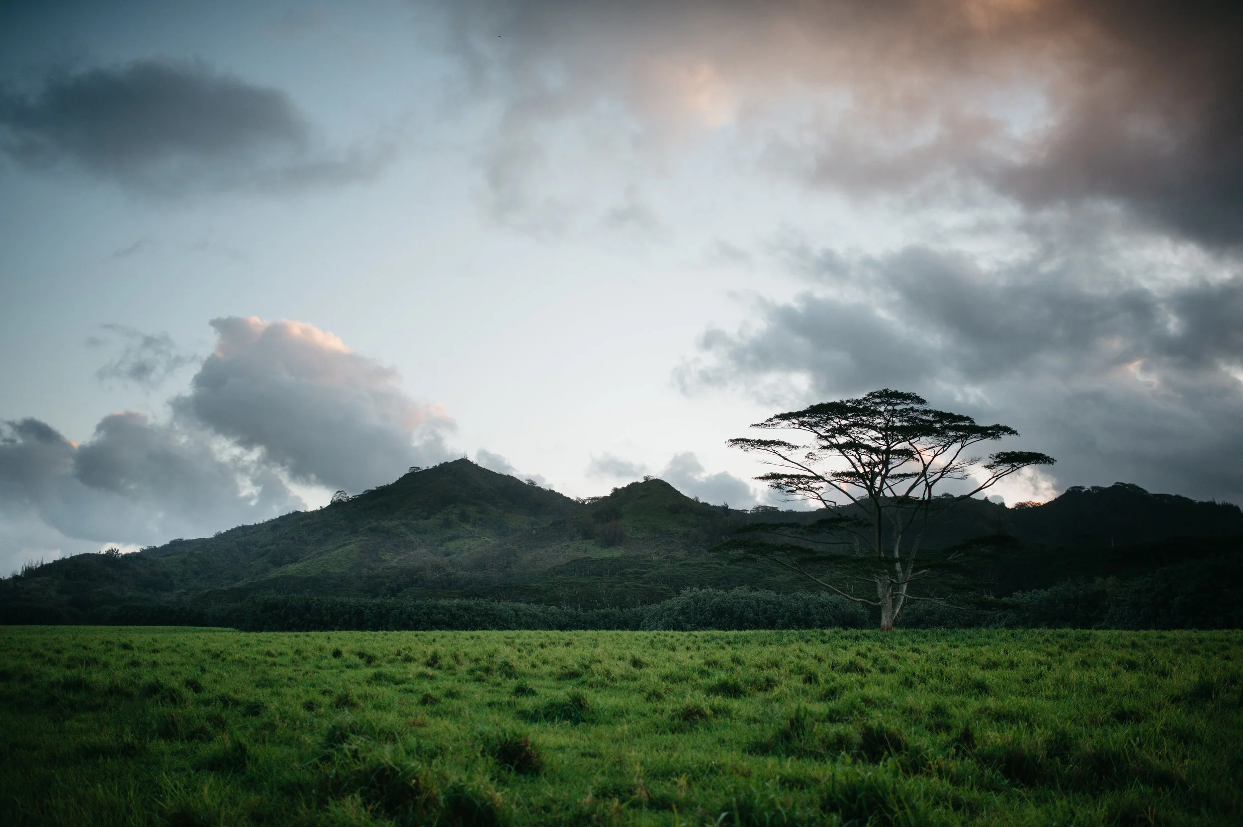 kauaitrip2018-100.jpg