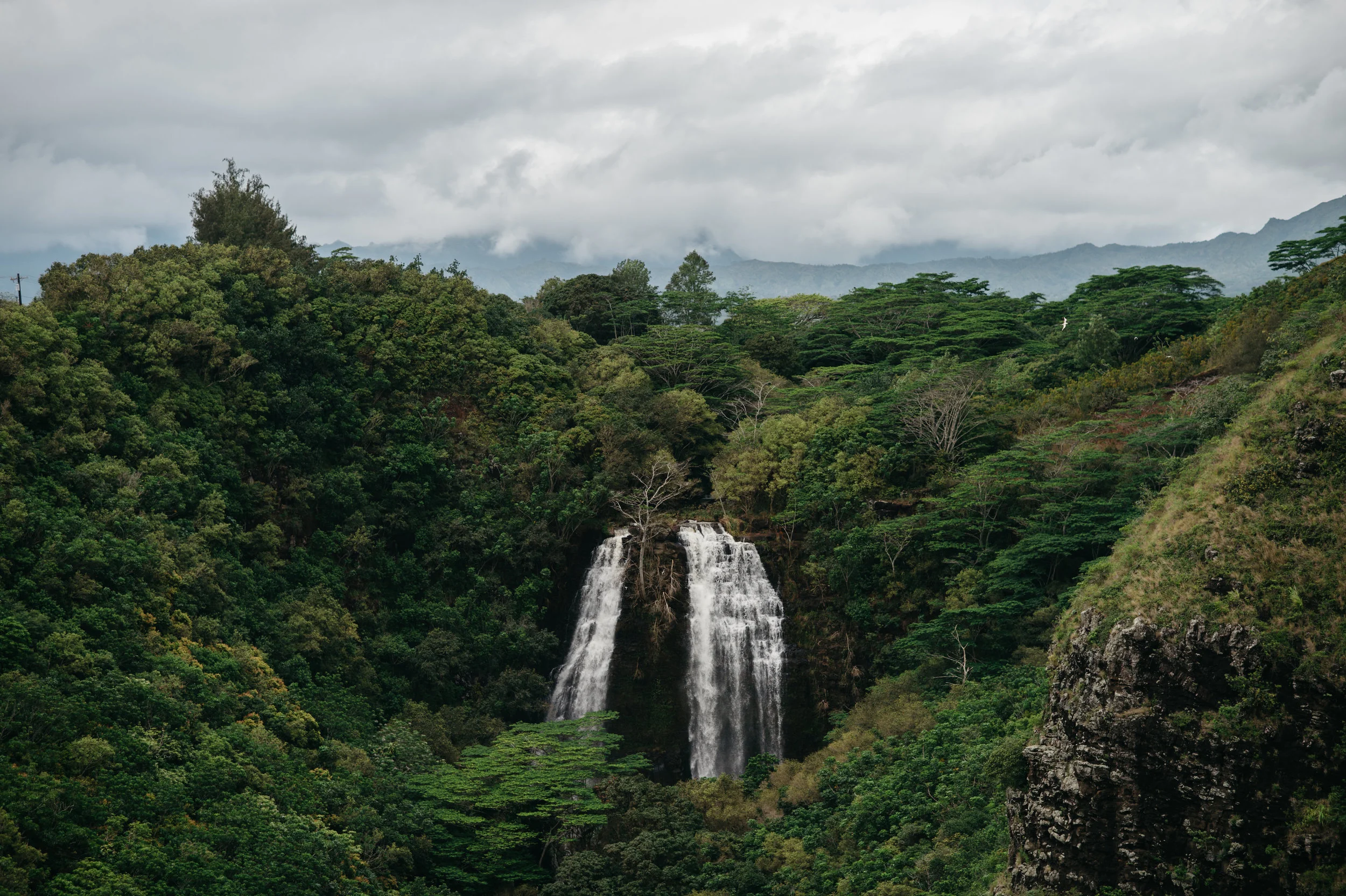 kauaitrip2018-394.jpg