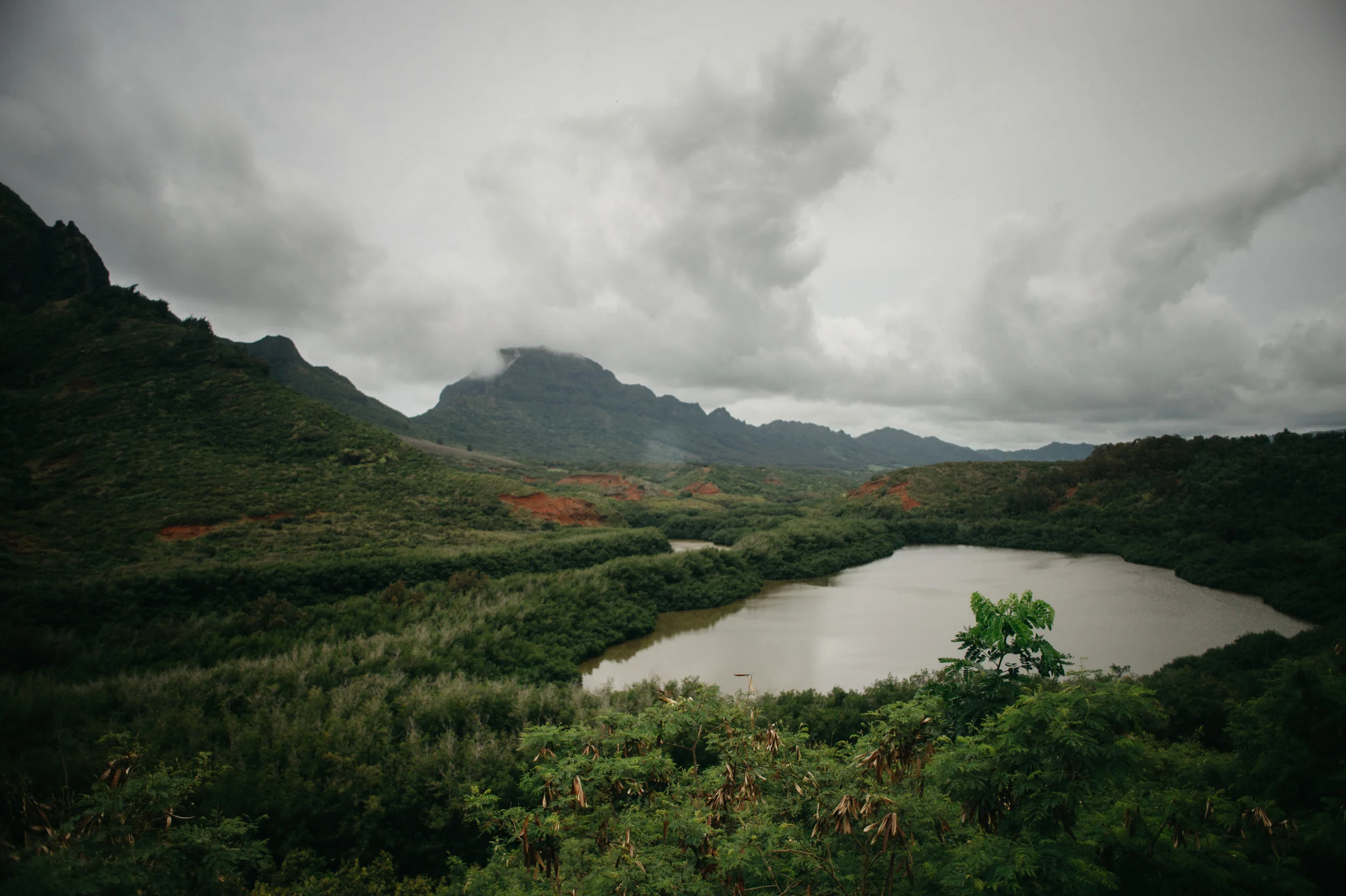 kauaitrip2018-388.jpg