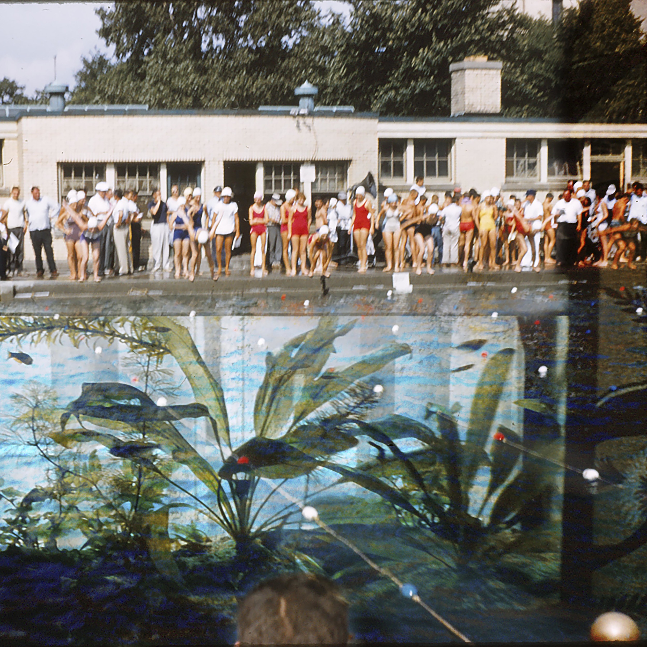 WithorWithoutYou_SwimLillFishySwim.jpg