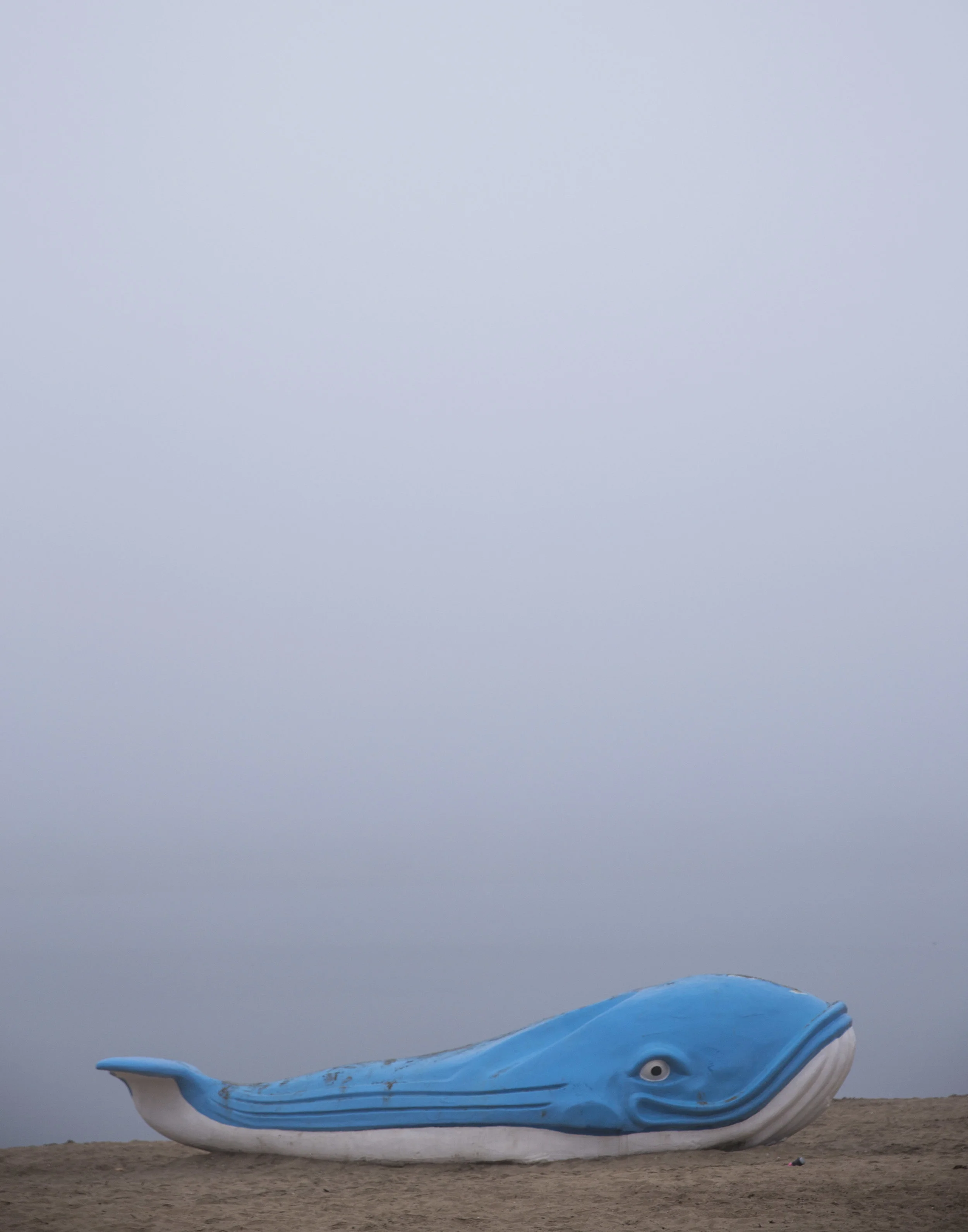 WhaleFog.jpg