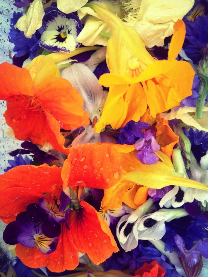 edible flowers.jpg