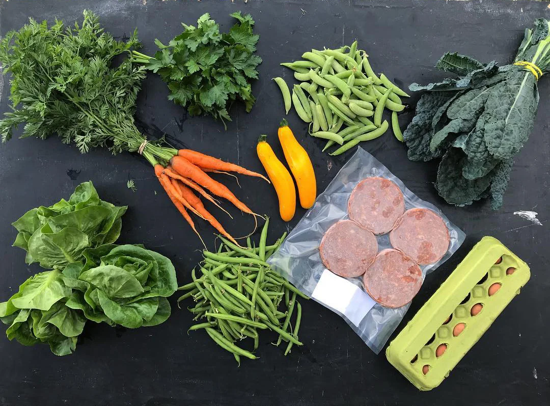 LEtterboxCsa_Week10.jpg