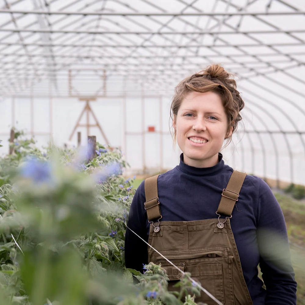 The Farm — Letterbox Farm