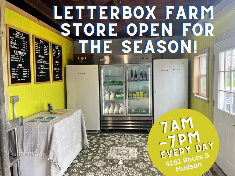 Shop — Letterbox Farm