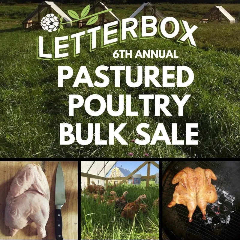 POULTRY BULK SALE — Letterbox Farm