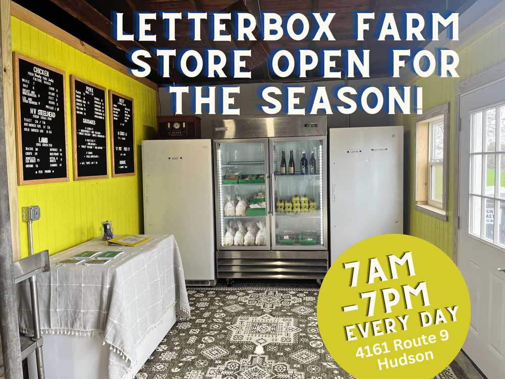 Farm Stand — Letterbox Farm