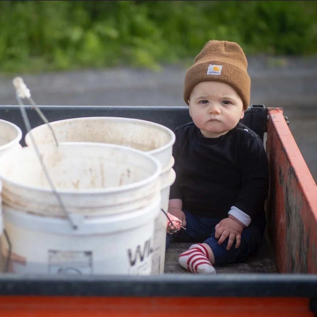 The Farm — Letterbox Farm