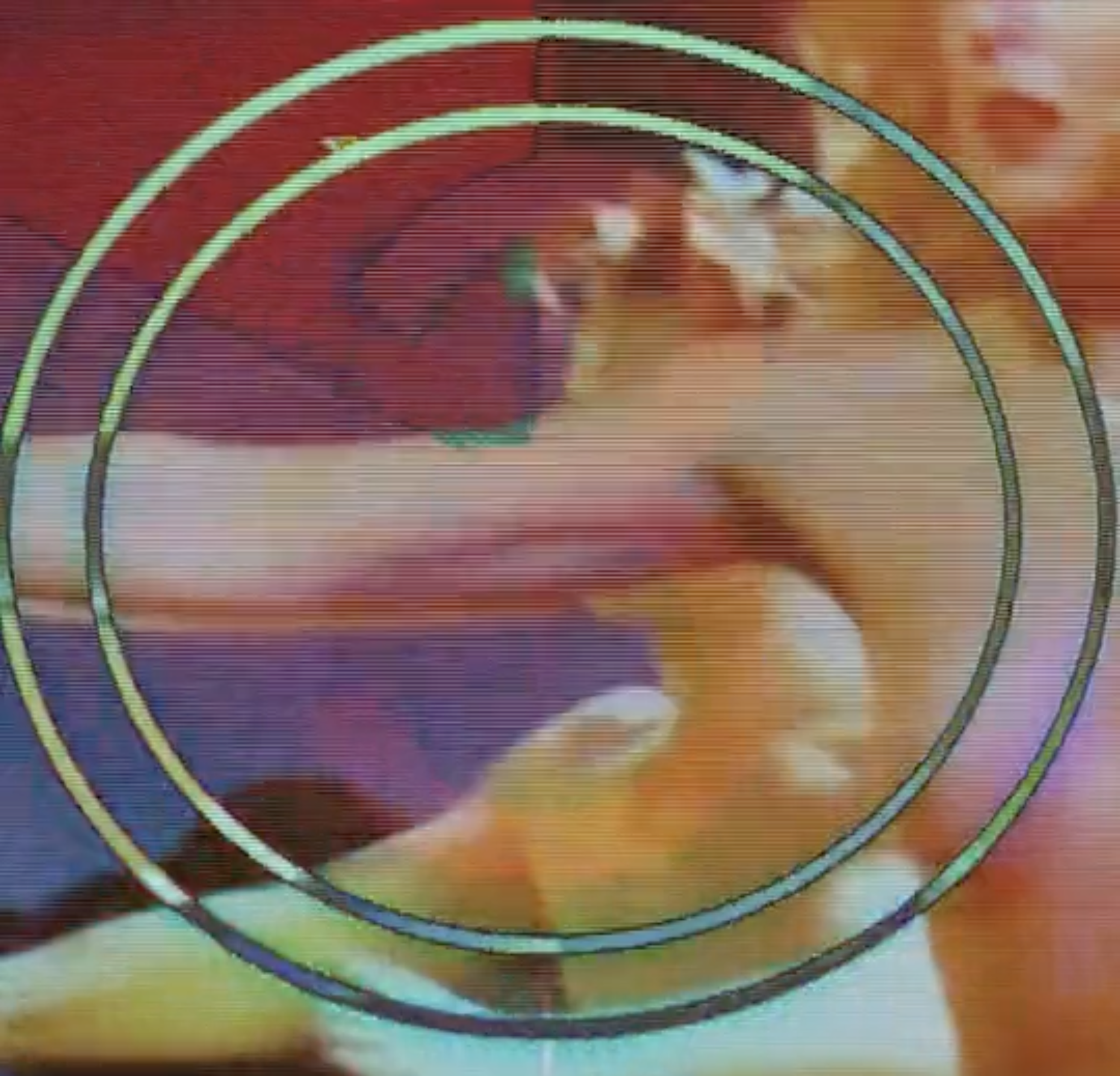 Screenshot 2026-01-10 at 2.33.49 PM.png