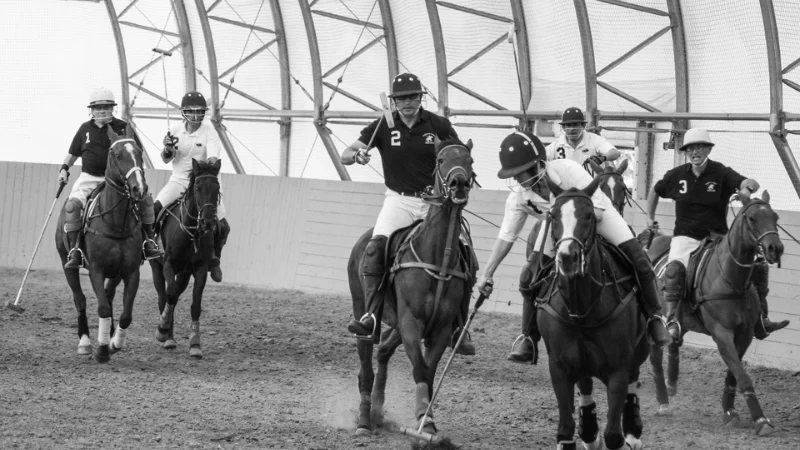 Chicago Arena League series (#2)