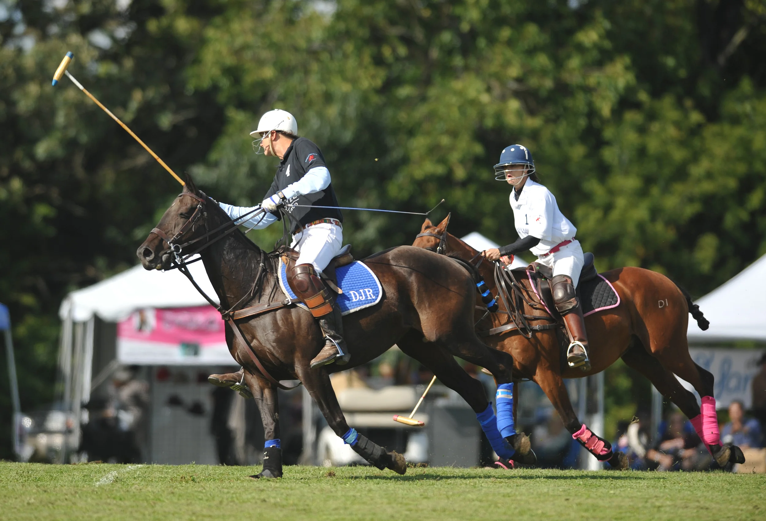 Barrington Hills Polo Clubbarrington Hills Polo Club - 