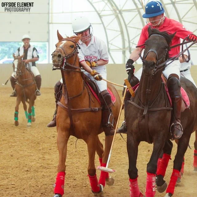 Instructional Umpired Chukkers