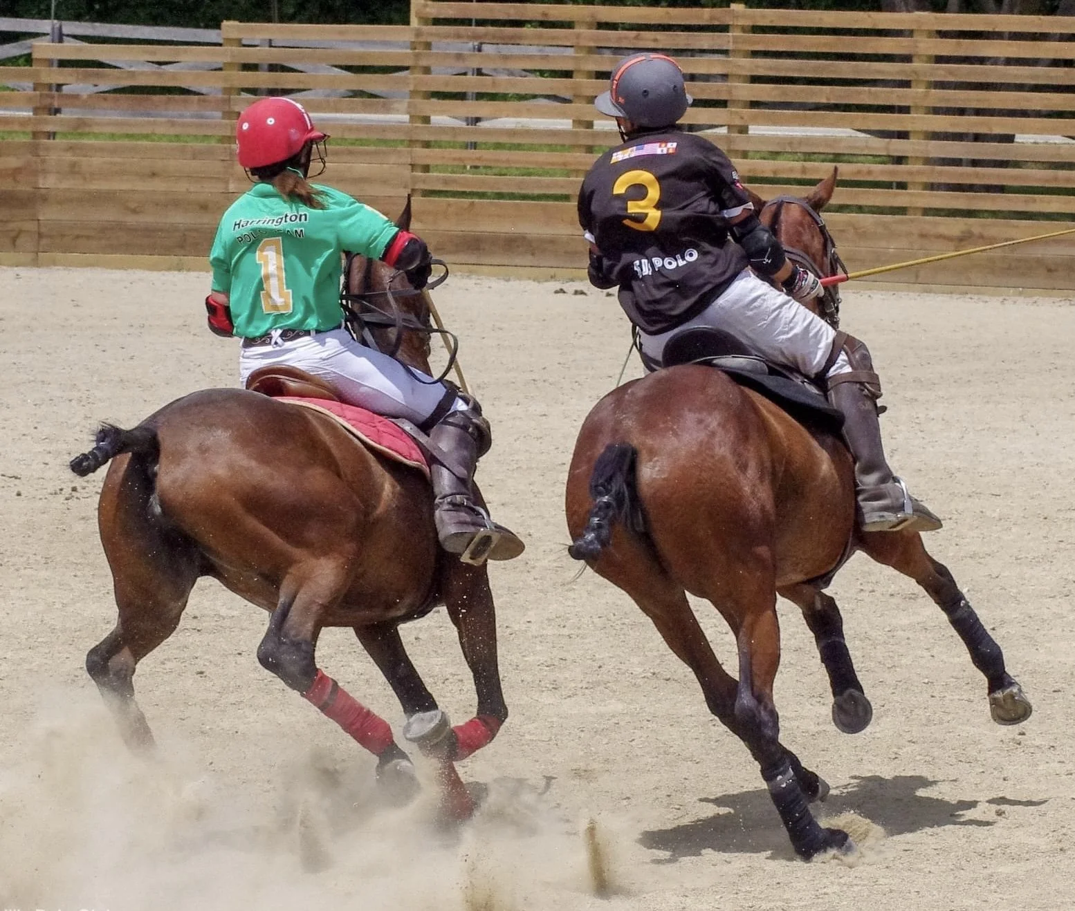 FRESH COAST ARENA LEAGUE  (USPA) &amp; Great Lakes Arena Tournament (different brackets)