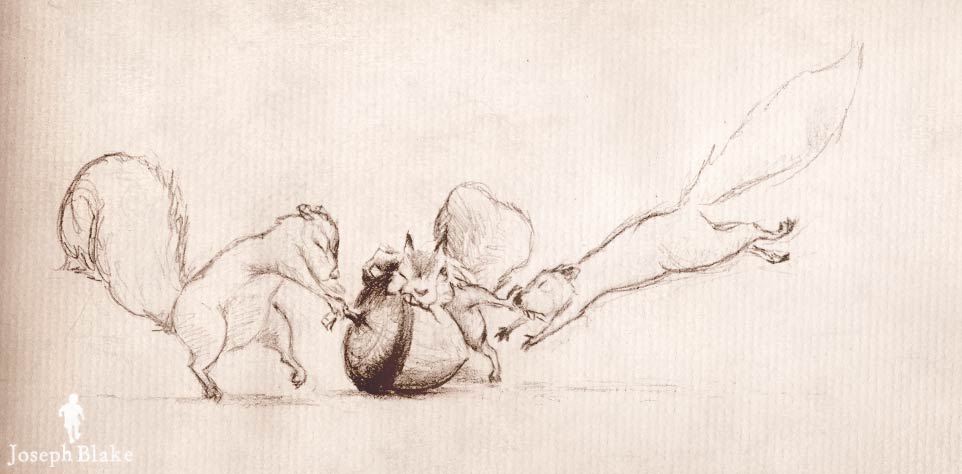 Squirrel sketches by Joseph Blake