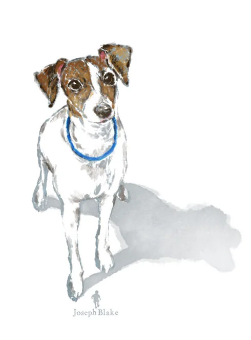Colby - digital watercolor pet portrait by Joseph Blake