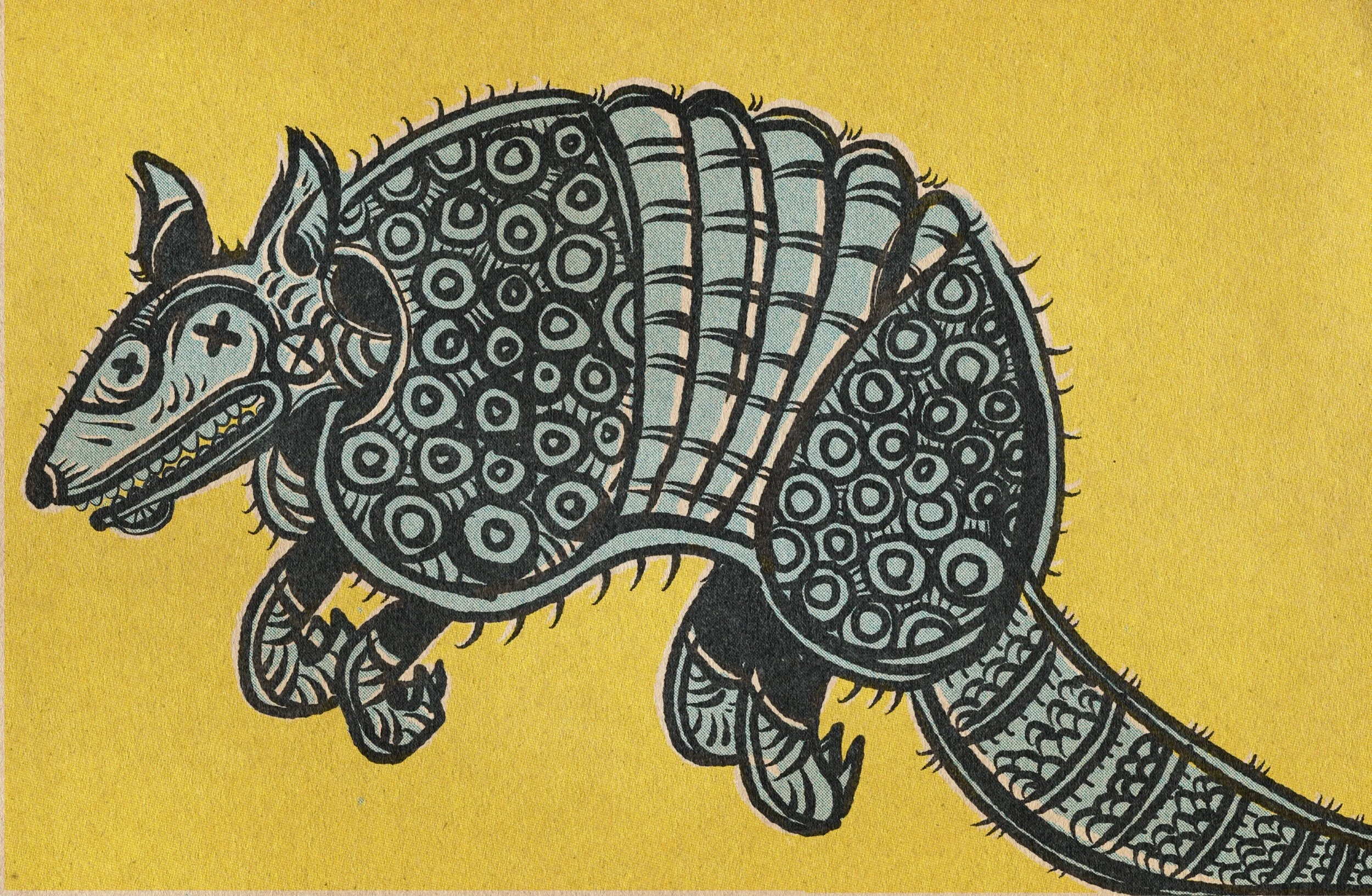 Dead Armadillo
