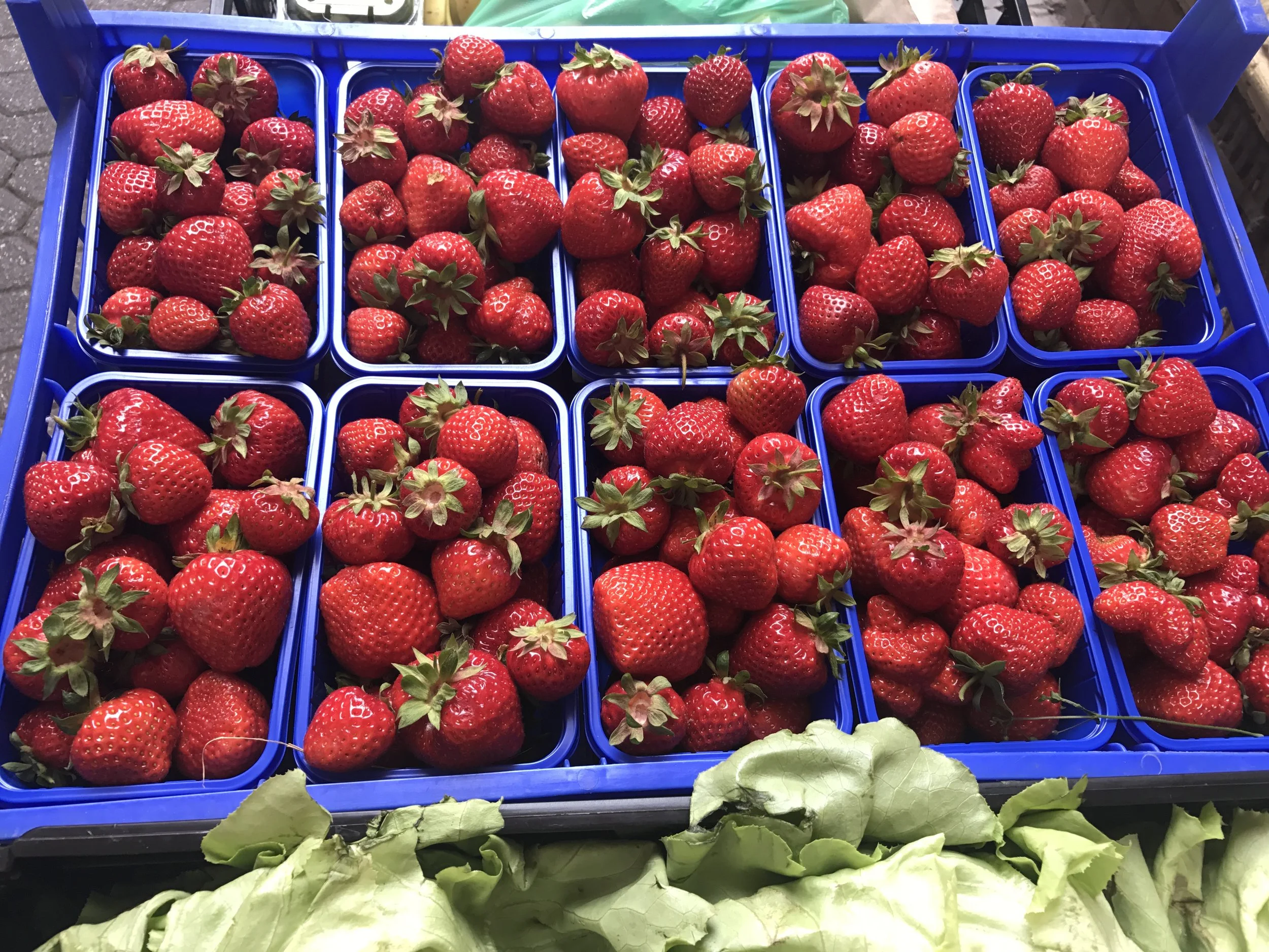 Oetker Collection Pearl Partner: Brenners Park-Hotel &amp; Spa