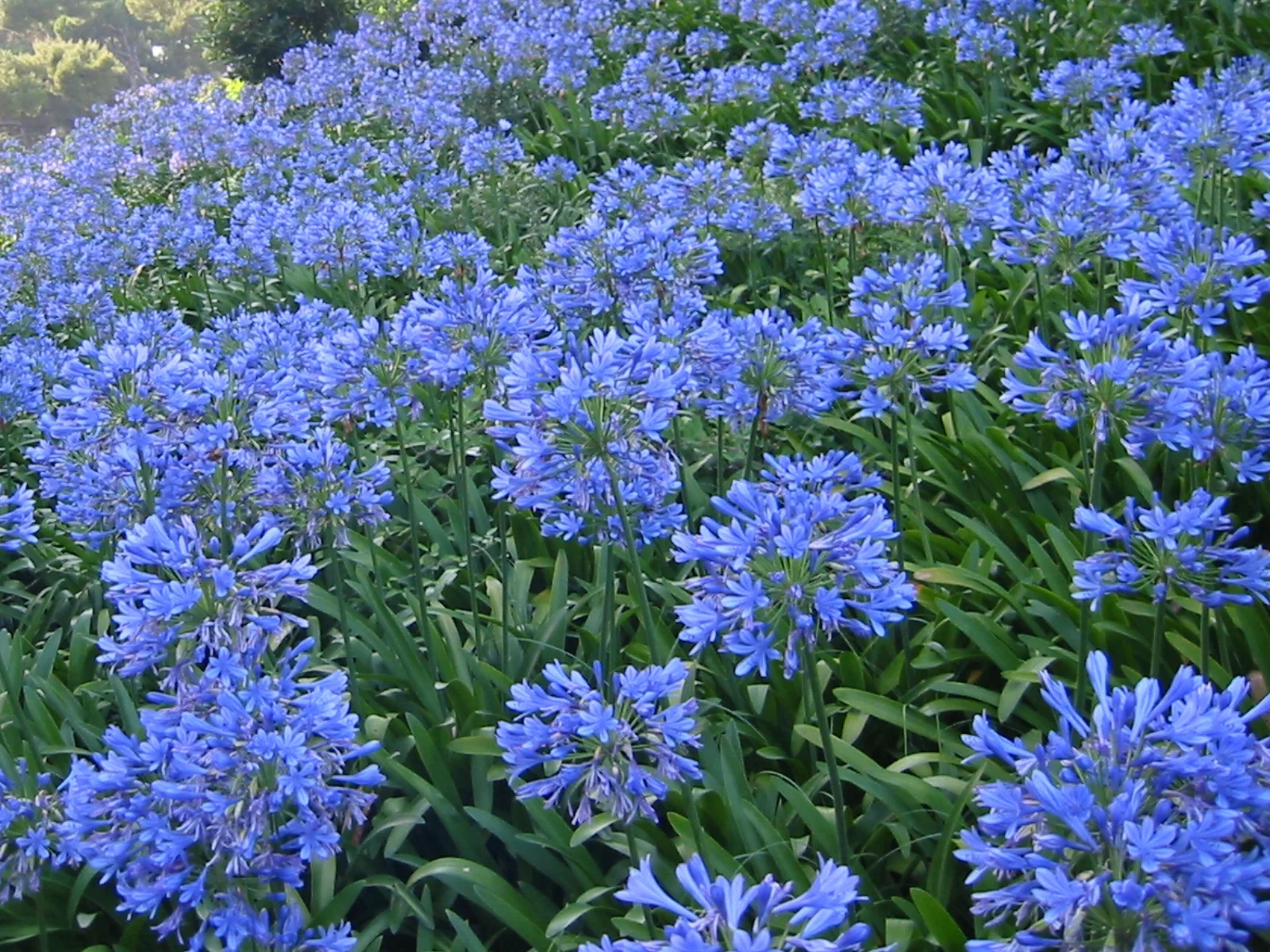 Oetker Collection Pearl Partner: Hotel du Cap-Eden-Roc