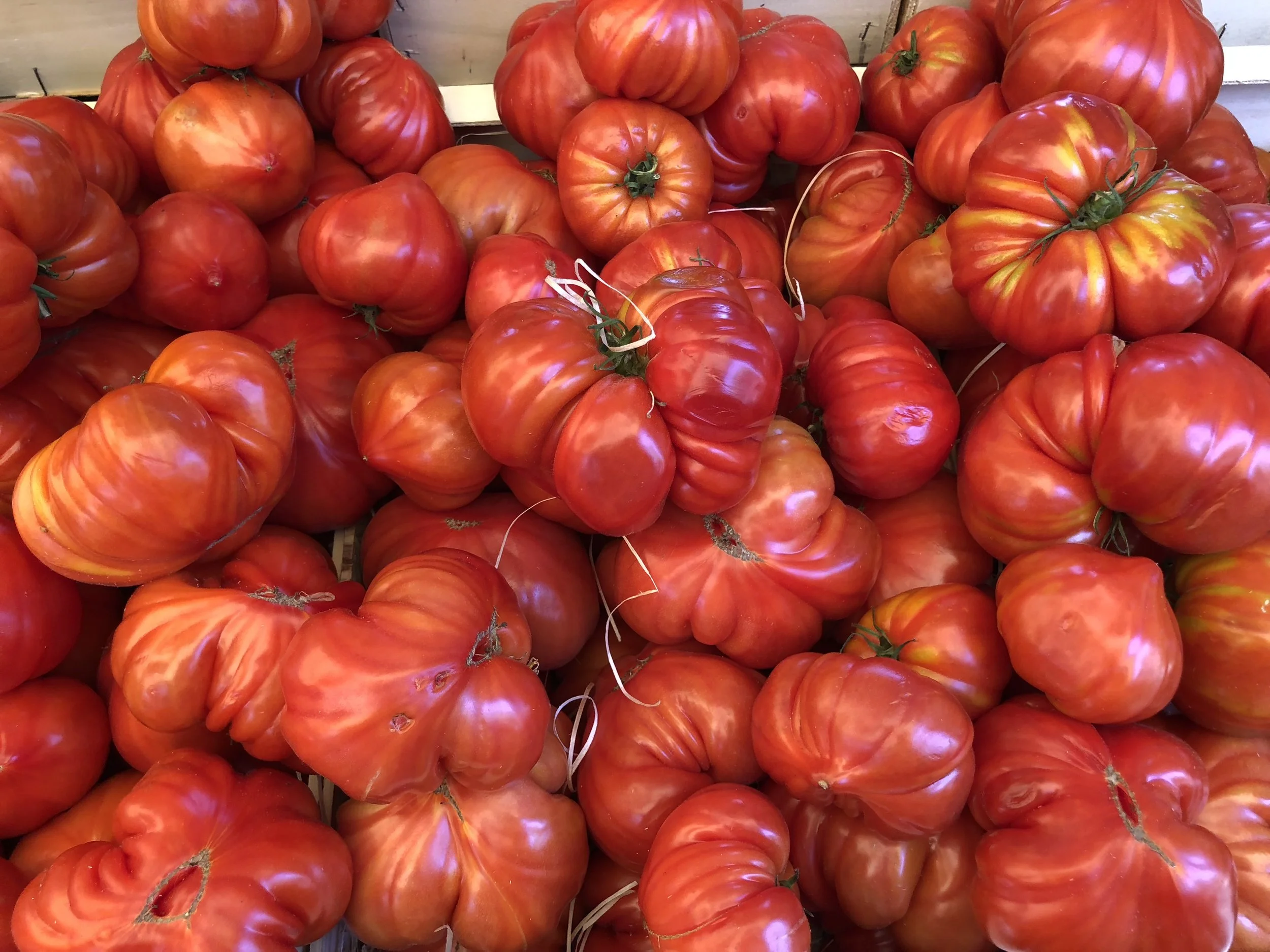 Rosewood Elite Promotion in Tuscany at Castiglion del Bosco