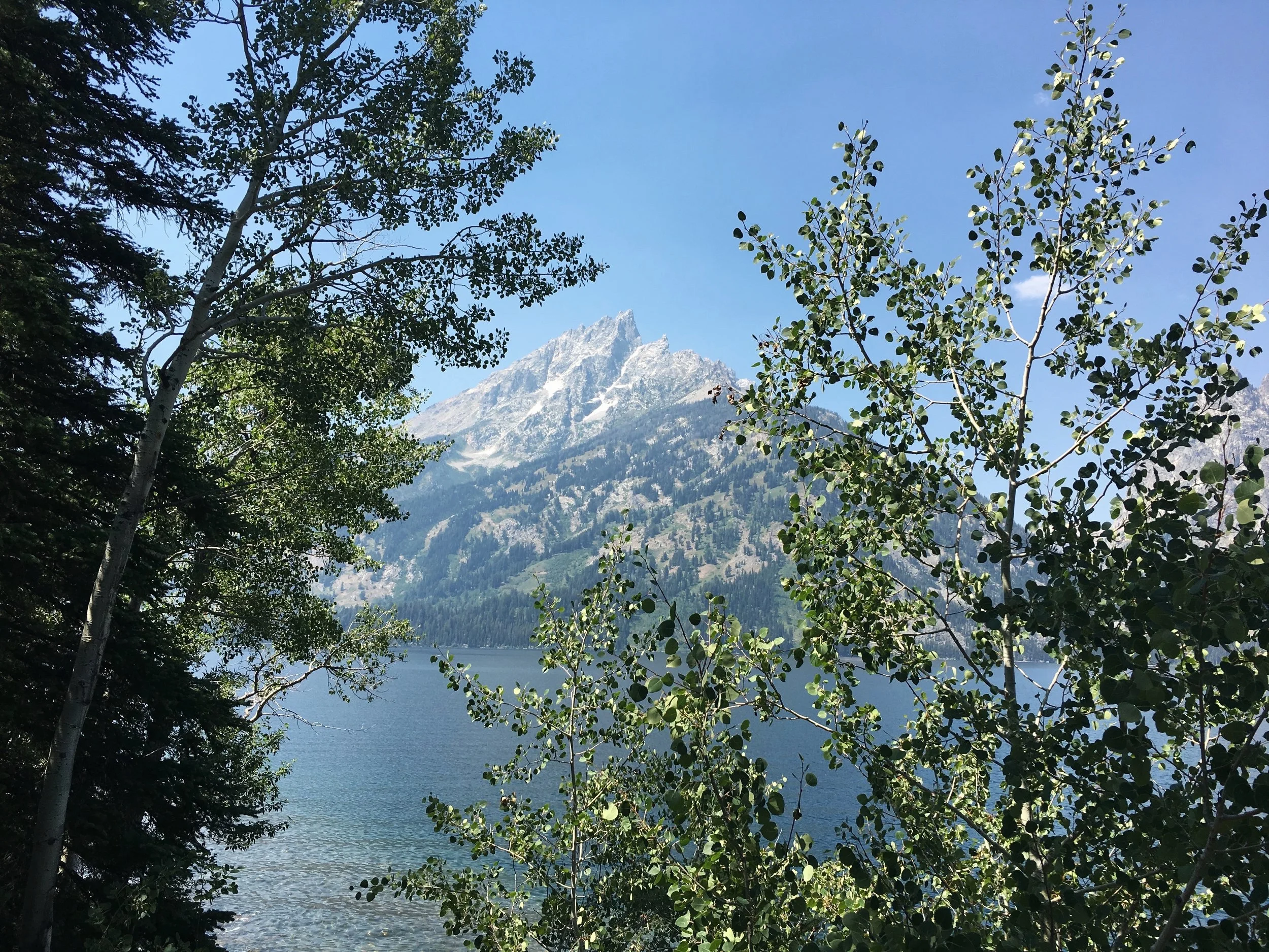 Amangani Jackson Hole Wyoming Exclusive $100 Credit and Free Breakfast