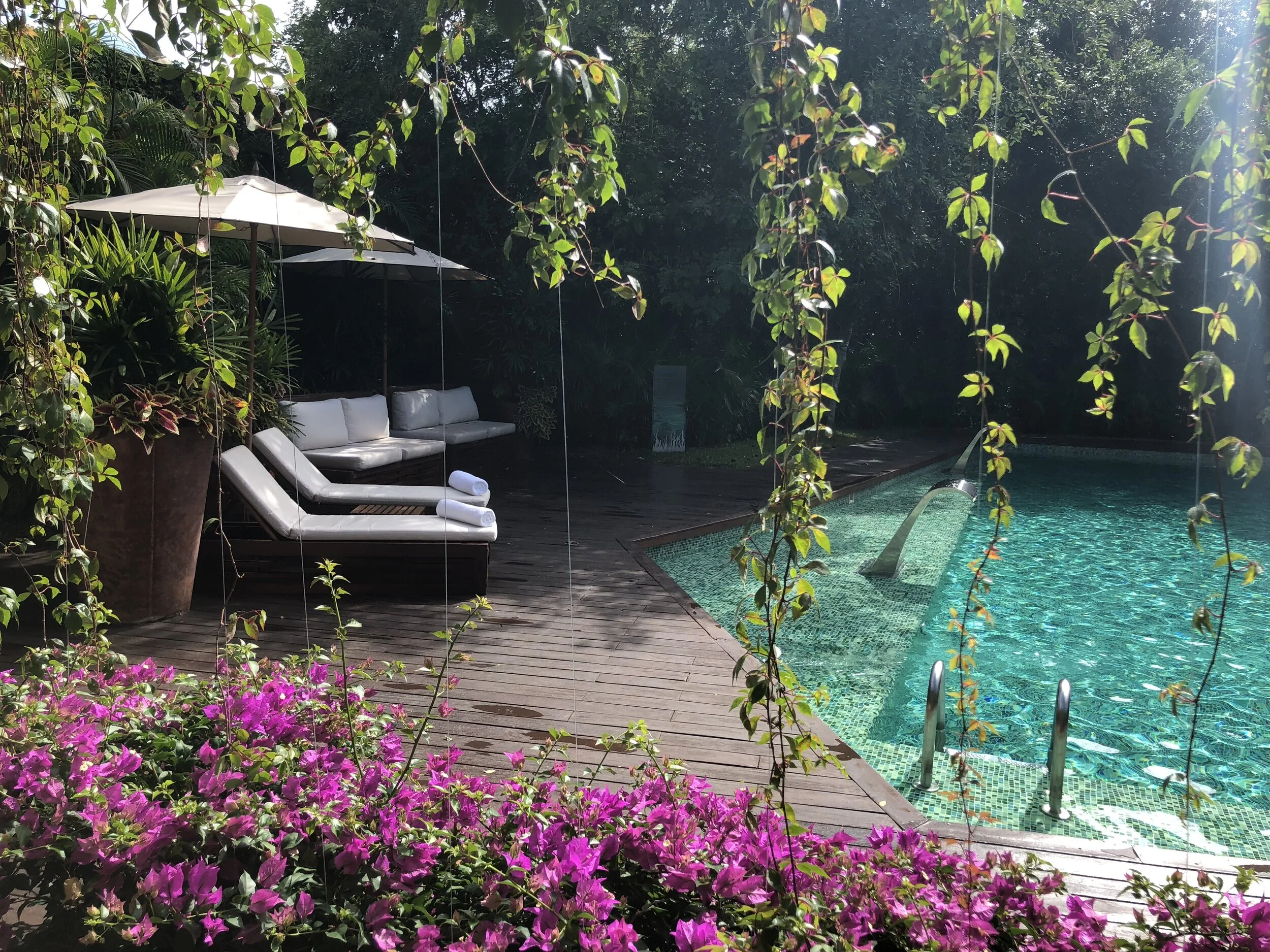 Rosewood Mayakoba Elite Exclusive 20% Off, Free Transfers, Breakfast, a Dinner and More
