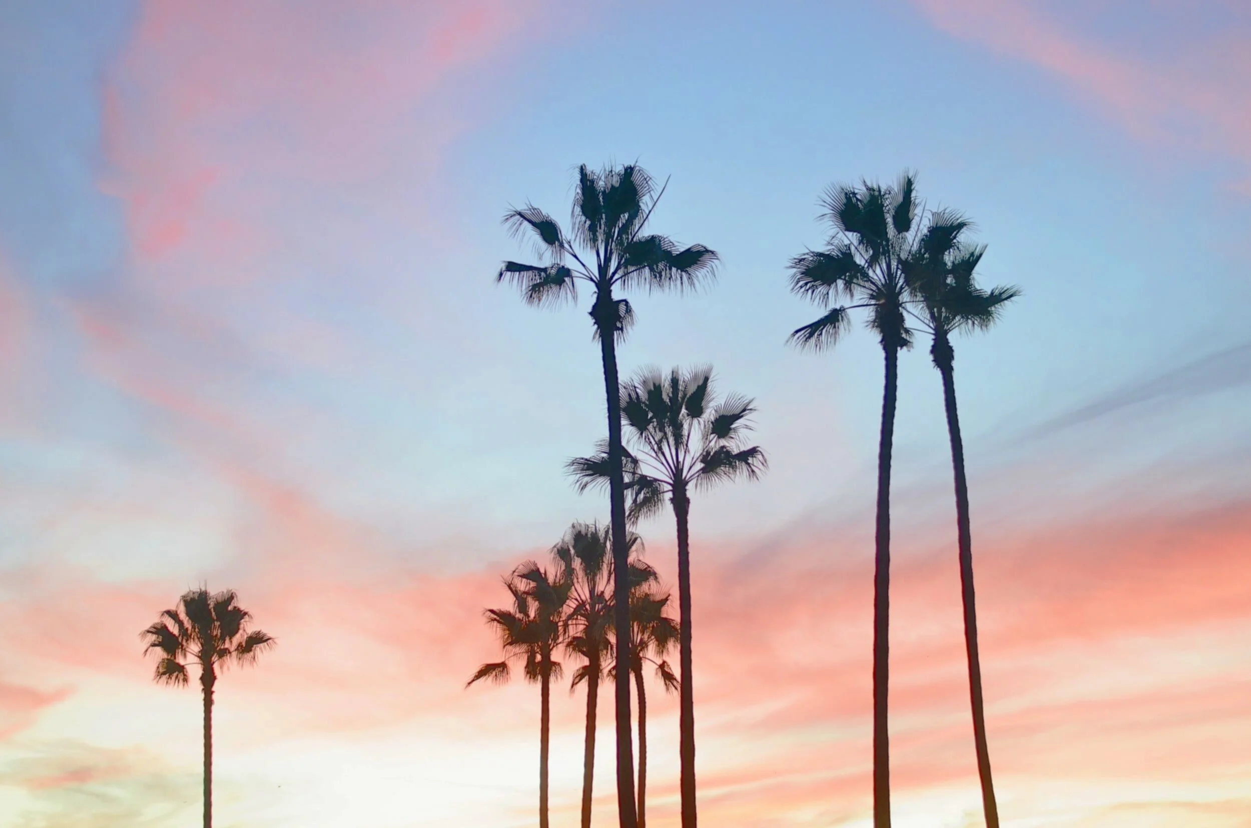 Beverly Hills Hotel Dorchester Diamond Club Exclusive