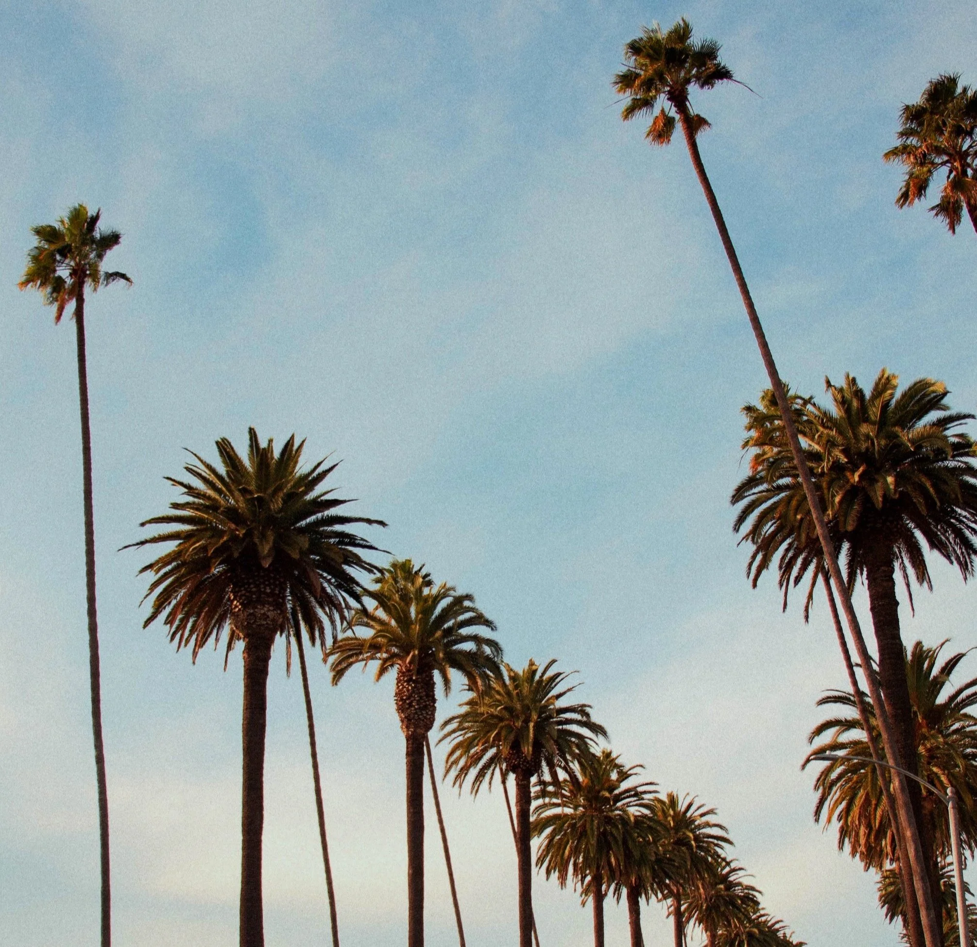 Four Seasons Beverly Wilshire Exclusive Two Category Upgrade, Breakfast and $100 Credit