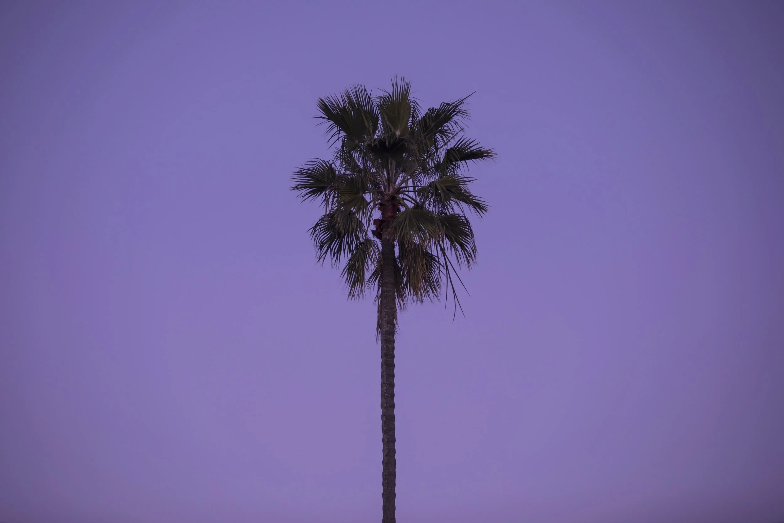 St. Regis Bal Harbour Marriott STARS $100 Hotel Credit, Free Breakfast, Welcome Amenity