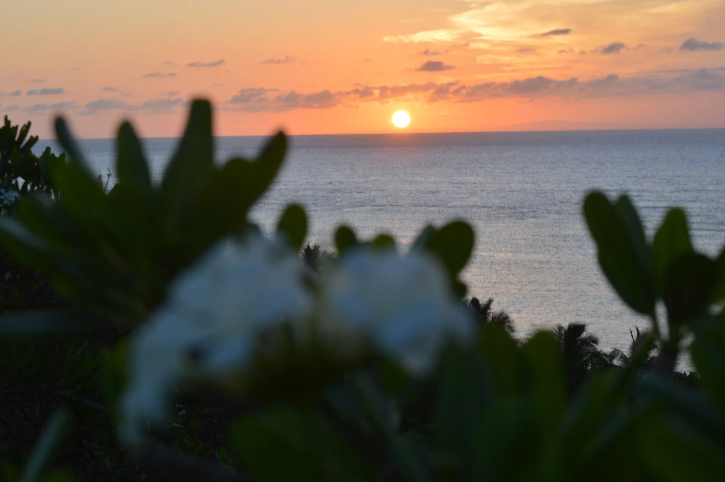 Dorado Beach, a Ritz Carlton Reserve, Plus Marriott STARS $150 Hotel Credit, Free Breakfast, Welcome Amenity