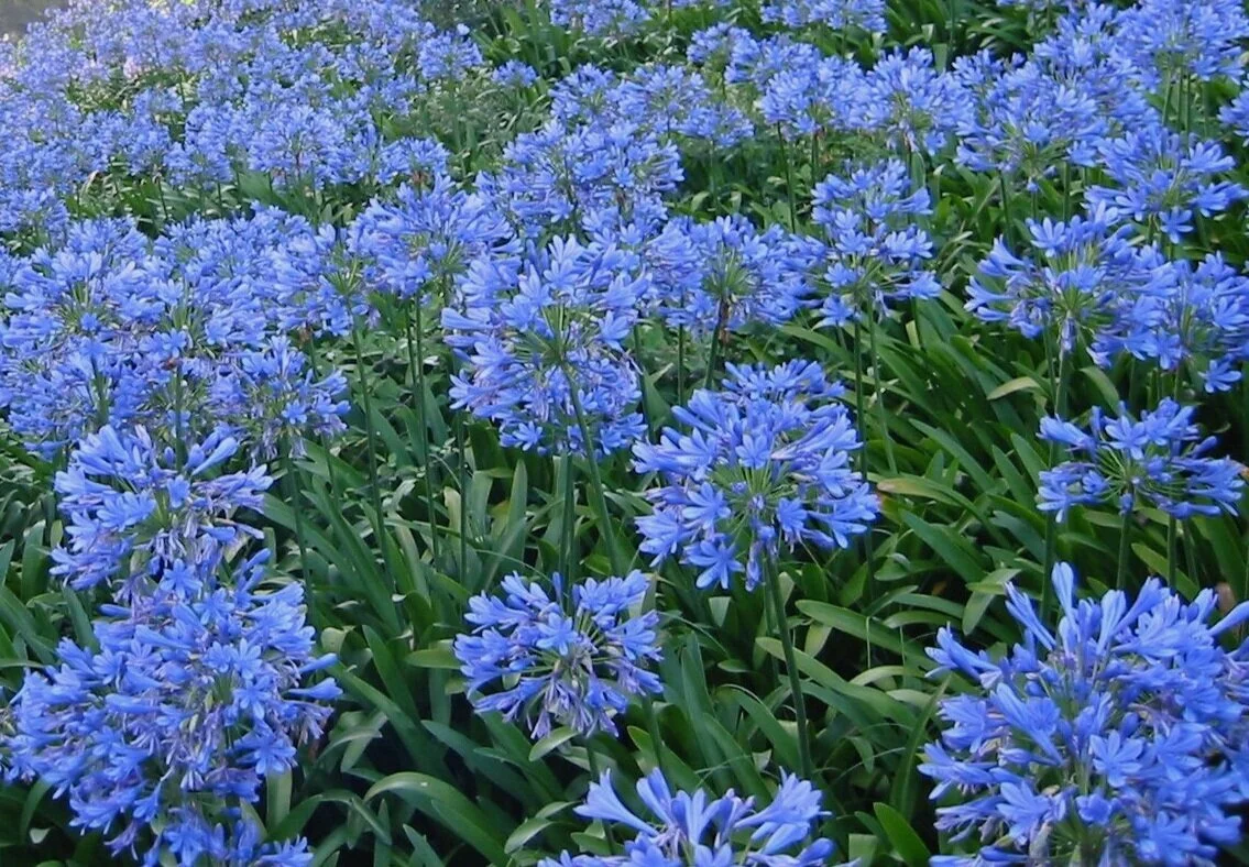 Hotel du Cap Eden Roc Free Breakfast, 170€ Credit, Welcome Amenity and More