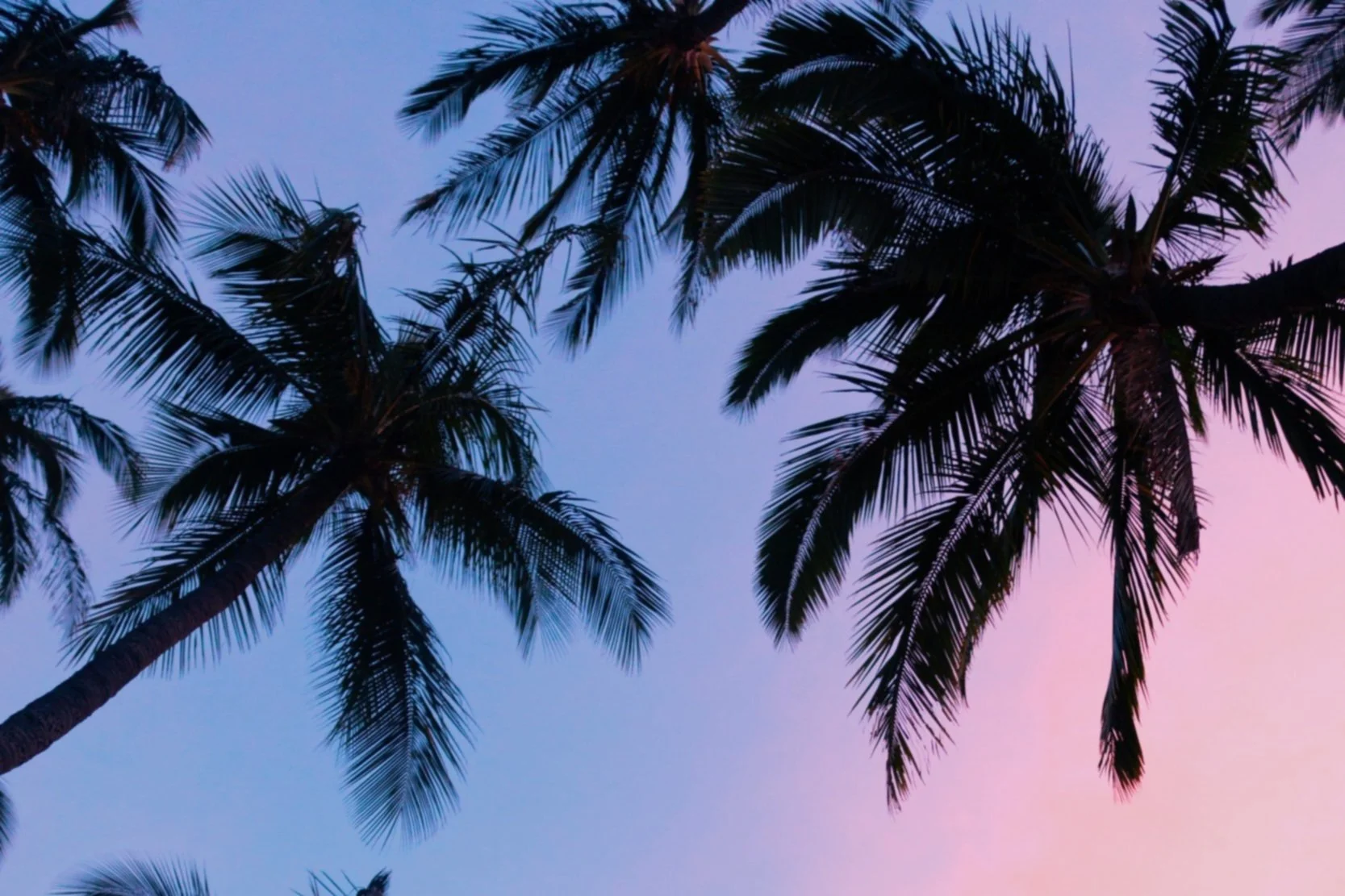 Breakers Palm Beach Free Breakfast, $100 Resort Credit and VIP Status