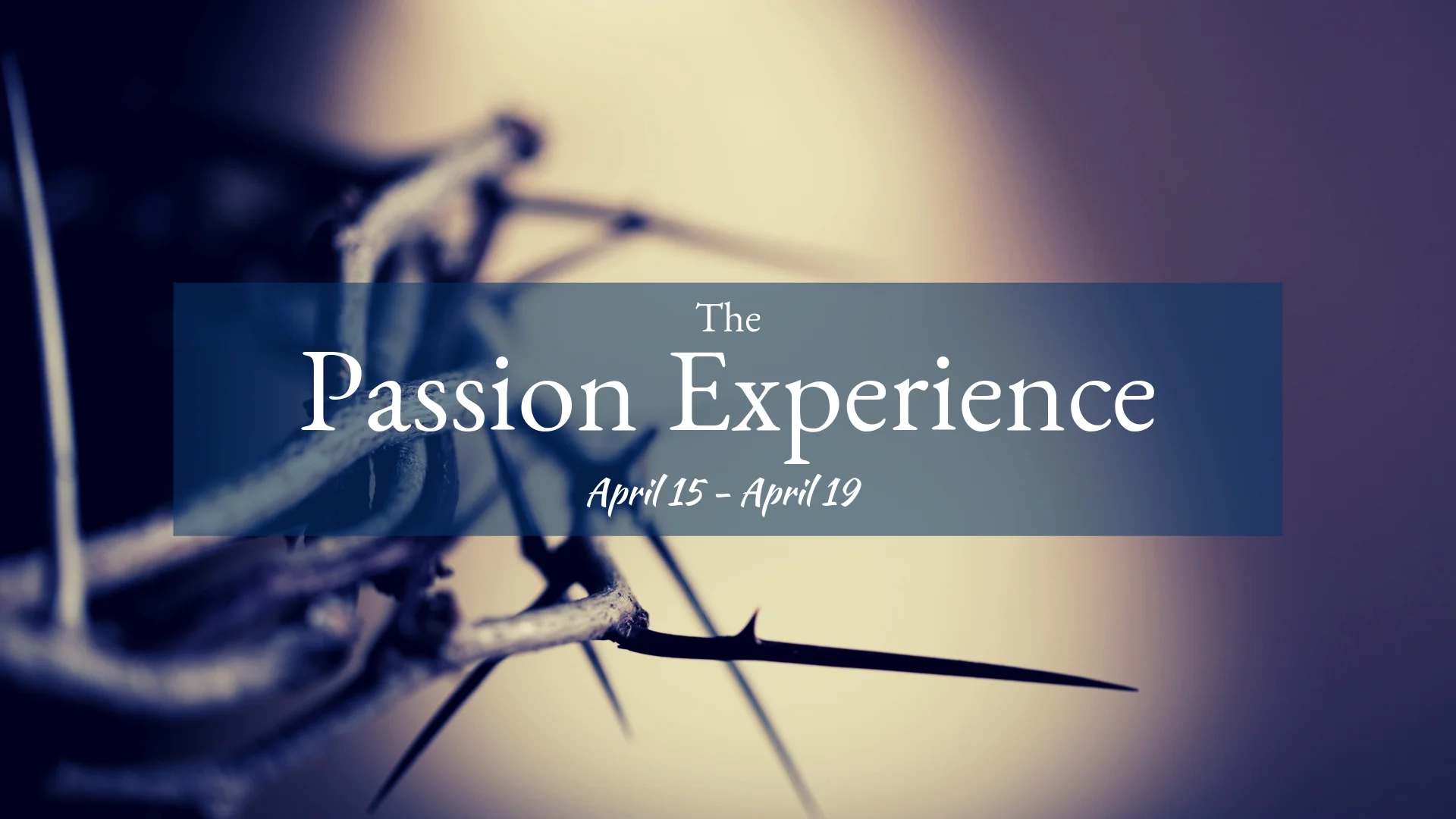 The Passion Experience is a multi-sensory, interactive walk-through exhibit to help us reflect over the events leading up to the crucifixion of Jesus. You will get a chance to journey through the places and remember the characters that were involved in this very important week, also known as Passion Week. To sign up, please visit: https://www.wejoinin.com/sheets/tideh