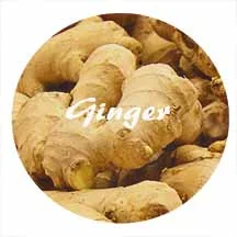 ginger_1.jpg