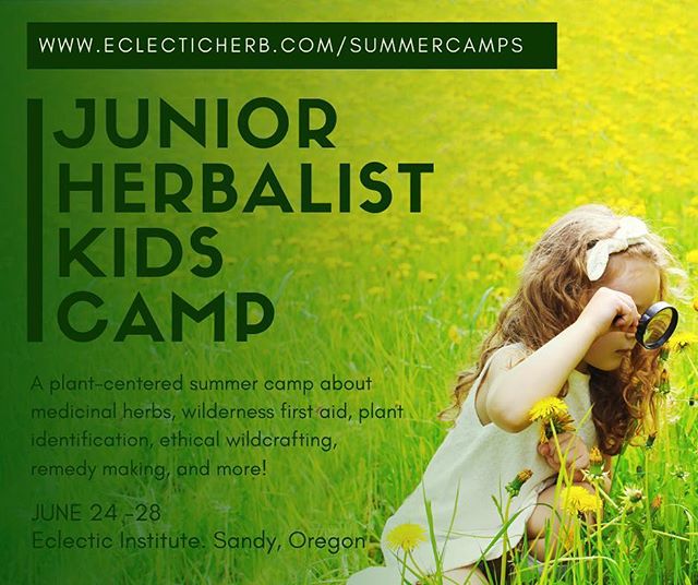 Eclectic Insute Have You And Your Kids Looked Into Summer Camps Yet If They Are Between The