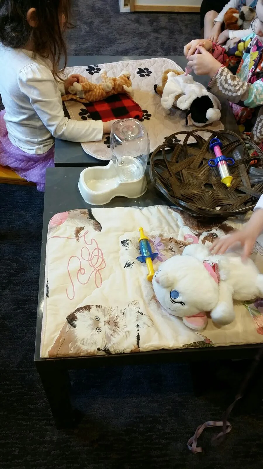 Animal hospital open for business!