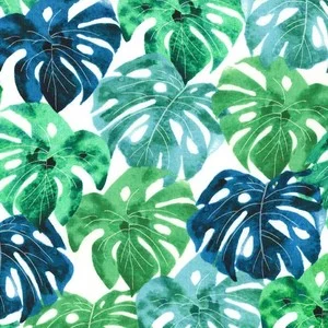 Leaves on White