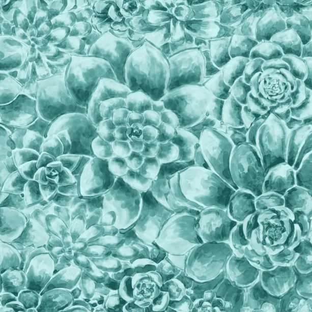 Succulent in Teal