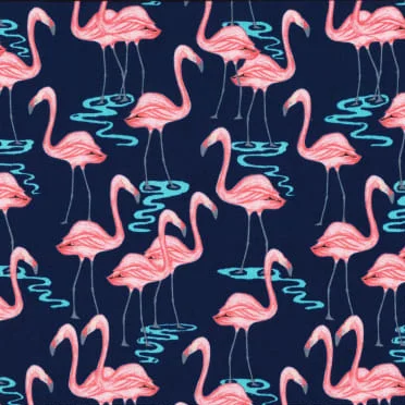 Flamingo Bay in Navy