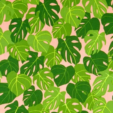 Leaves on Coral