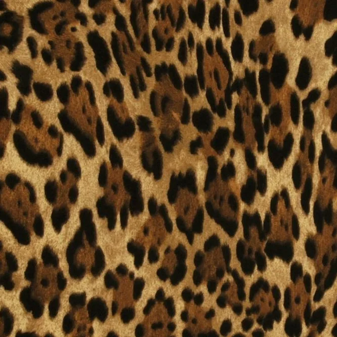Wild Jaguar